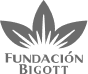Capa 2 (12)